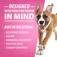 Load image into Gallery viewer, DS26 Jeffers Diawin Digestive Support for Dogs - Bismuth Tummy Relief for Diarrhea
