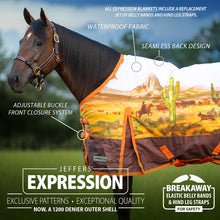 Load image into Gallery viewer, Jeffers Expression 1200 Denier Standard Neck Horse Turnout Sheet, 0 Gram
