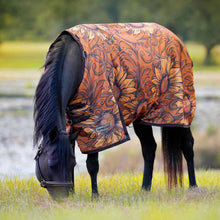 Load image into Gallery viewer, Jeffers Expression 1200 Denier Standard Neck Horse Turnout Sheet, 0 Gram
