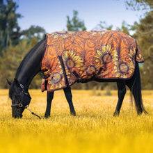 Load image into Gallery viewer, Jeffers Expression 1200 Denier Standard Neck Horse Turnout Sheet, 0 Gram
