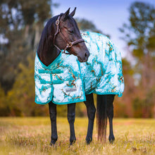 Load image into Gallery viewer, Jeffers Expression 1200 Denier Standard Neck Turnout Horse Blanket, 240 Gram
