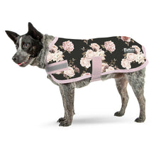Load image into Gallery viewer, Jeffers Expression 600D Waterproof Ripstop Dog Coat, 240 Gram
