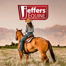 Load image into Gallery viewer, Jeffers Expression Horse Trailer Corner Feeder
