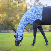 Load image into Gallery viewer, Jeffers Expression Lycra Hood for Horses
