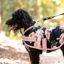 Load image into Gallery viewer, Jeffers Expression Moisture-Wicking Fleece Dog Coat
