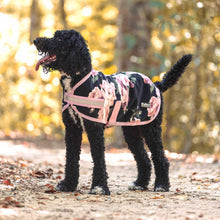 Load image into Gallery viewer, Jeffers Expression Moisture-Wicking Fleece Dog Coat
