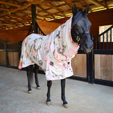 Load image into Gallery viewer, Pre-Sale Jeffers Expression Softmesh Combo Neck Horse Fly Sheet
