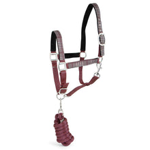 Load image into Gallery viewer, DS26 Jeffers Matching Horse Halter &amp; Lead Rope 2 Piece Set, Full Size

