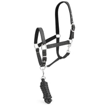 Load image into Gallery viewer, DS26 Jeffers Matching Horse Halter &amp; Lead Rope 2 Piece Set, Full Size

