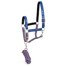 Load image into Gallery viewer, DS26 Jeffers Matching Horse Halter &amp; Lead Rope 2 Piece Set, Full Size
