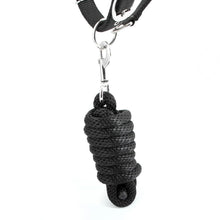 Load image into Gallery viewer, DS26 Jeffers Matching Horse Halter &amp; Lead Rope 2 Piece Set, Full Size
