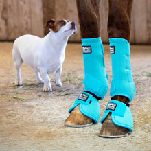 Load image into Gallery viewer, Jeffers No-Turn Bell Boots for Horses, Solid Colors, 2 ct
