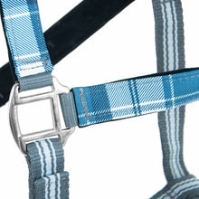 Load image into Gallery viewer, DS26 Jeffers Matching Horse Halter &amp; Lead Rope 2 Piece Set, Full Size
