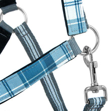 Load image into Gallery viewer, DS26 Jeffers Matching Horse Halter &amp; Lead Rope 2 Piece Set, Full Size
