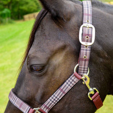 Load image into Gallery viewer, DS26 Jeffers Matching Horse Halter &amp; Lead Rope 2 Piece Set, Full Size
