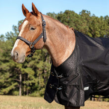 Load image into Gallery viewer, DS26 Jeffers Matching Horse Halter &amp; Lead Rope 2 Piece Set, Full Size
