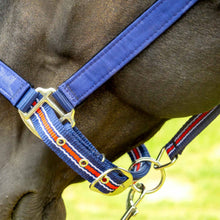 Load image into Gallery viewer, DS26 Jeffers Matching Horse Halter &amp; Lead Rope 2 Piece Set, Full Size

