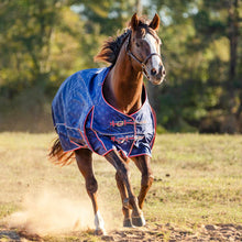 Load image into Gallery viewer, DS26 Jeffers Poplar Head "Origin" 600D Medium Weight Turnout Blanket, 240g | Waterproof &amp; Breathable Horse Blanket
