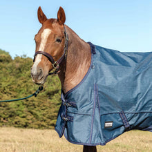 Load image into Gallery viewer, DS26 Jeffers Poplar Head "Origin" 600D Medium Weight Turnout Blanket, 240g | Waterproof &amp; Breathable Horse Blanket
