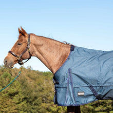Load image into Gallery viewer, DS26 Jeffers Poplar Head "Origin" 600D Medium Weight Turnout Blanket, 240g | Waterproof &amp; Breathable Horse Blanket
