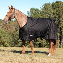 Load image into Gallery viewer, DS26 Jeffers Poplar Head "Origin" 600D Medium Weight Turnout Blanket, 240g | Waterproof &amp; Breathable Horse Blanket
