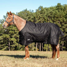 Load image into Gallery viewer, DS26 Jeffers Poplar Head "Origin" 600D Medium Weight Turnout Blanket, 240g | Waterproof &amp; Breathable Horse Blanket
