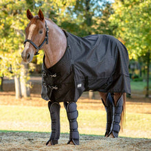 Load image into Gallery viewer, Jeffers Poplar Head Horse Shipping Boots, 4-Pack with Carry Bag

