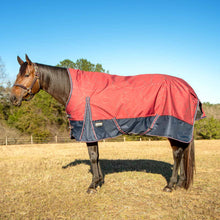 Load image into Gallery viewer, DS26 Jeffers Poplar Head Uniquely English 1200 Denier Turnout Blanket with High Neck, 240 Gram, Merlot Snaffles &amp; Irons
