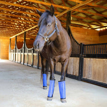 Load image into Gallery viewer, Pre-Sale Jeffers Romper Stomper "Stomp-Free" Fly Boots for Horses, 4 pack
