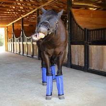 Load image into Gallery viewer, Pre-Sale Jeffers Romper Stomper "Stomp-Free" Fly Boots for Horses, 4 pack
