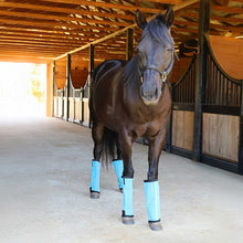 Load image into Gallery viewer, Pre-Sale Jeffers Romper Stomper "Stomp-Free" Fly Boots for Horses, 4 pack
