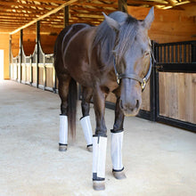 Load image into Gallery viewer, Pre-Sale Jeffers Romper Stomper "Stomp-Free" Fly Boots for Horses, 4 pack
