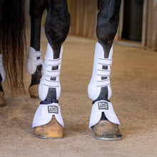 Load image into Gallery viewer, Jeffers Uniquely English Horse Tendon Boots, 2-Pack
