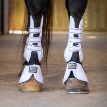 Load image into Gallery viewer, Jeffers Uniquely English Horse Tendon Boots, 2-Pack

