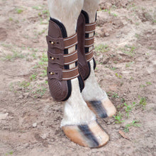 Load image into Gallery viewer, Jeffers Uniquely English Horse Tendon Boots, 2-Pack
