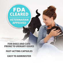 Load image into Gallery viewer, DS26 Jeffers Uracid DL-Methionine 0.2g Capsules for Dogs &amp; Cats – Supports Urinary Tract, Reduces Urine Odor, Prevents Stones
