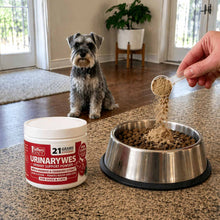 Load image into Gallery viewer, DS26 Jeffers UrinaryWes Urinary Support Supplement Powder for Dogs &amp; Cats
