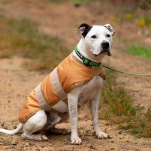 Load image into Gallery viewer, DS26 Jeffers Waterproof Breathe-Comfort 600D Ripstop Dog Blanket, 200 Gram
