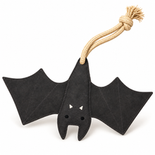 Load image into Gallery viewer, Clean studio-style picture for Bat plush rope toy
