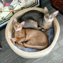 Load image into Gallery viewer, DS26 K&amp;H Pet Products Thermo-Kitty Bed Indoor Heated Cat Bed – Safe, Energy Efficient &amp; Washable
