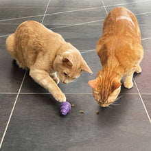 Load image into Gallery viewer, DS26 KONG Cat Nibbies, 2 oz
