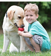 Load image into Gallery viewer, DS26 KONG Classic Dog Toy
