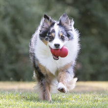 Load image into Gallery viewer, DS26 KONG Classic Dog Toy
