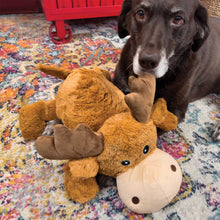 Load image into Gallery viewer, DS26 Kong Cozie Jumbo Marvin Dog Toy with Squeaker, XLarge
