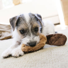Load image into Gallery viewer, DS26 KONG Dr. Noyz X-Small Plush Dog Toys – Stuffing-Free, Soft Cuddle Toy with Removable and Extra Squeaker for Small Dogs
