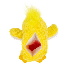 Load image into Gallery viewer, DS26 KONG Dr. Noyz X-Small Plush Dog Toys – Stuffing-Free, Soft Cuddle Toy with Removable and Extra Squeaker for Small Dogs

