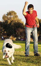 Load image into Gallery viewer, DS26 KONG Extreme Treat-Stuffing Dog Toy for Power Chewers
