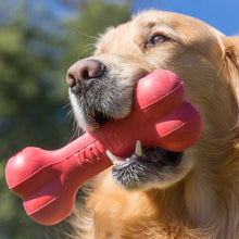 Load image into Gallery viewer, DS26 KONG Goodie Bone Rubber Dog Chew Toy, Medium
