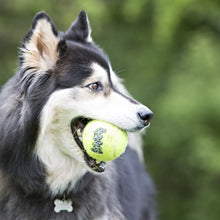 Load image into Gallery viewer, DS26 KONG SqueakAir® Ball – Durable Squeaker Tennis Ball Dog Toy for Fetch &amp; Play

