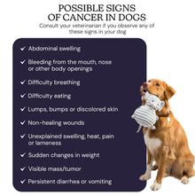Load image into Gallery viewer, Oncotect Essential At-Home Dog Cancer Screening Test Kit
